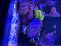 IMG_3047.jpeg