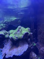 IMG_1759.jpeg