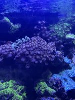 IMG_1760.jpeg