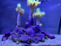 IMG_1654.jpeg