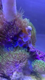 F3D2006C-483E-4F3E-A02A-60BD21F8B4E4.jpeg