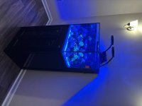 IMG_2255.jpeg