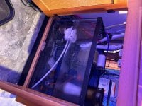IMG_7123.jpeg