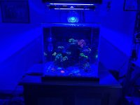 IMG_7126.jpeg