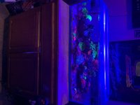 IMG_4220.jpeg