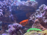 IMG_0382.JPG
