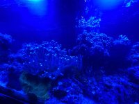 IMG_0378.JPG