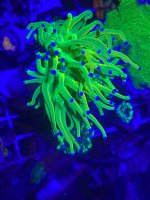 IMG_0898.jpg