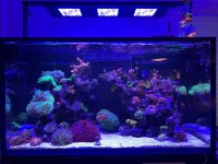 IMG_5069.jpeg