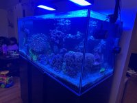 IMG_0409.JPG