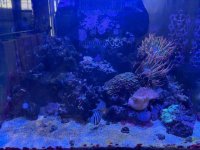 IMG_0109.jpeg