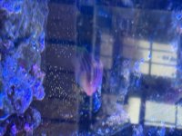 IMG_0117.jpeg