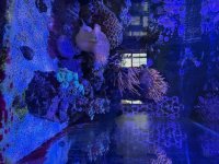 IMG_0119.jpeg