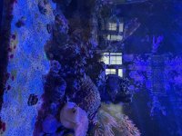 IMG_0120.jpeg
