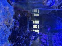 IMG_0121.jpeg
