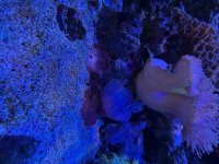 IMG_0122.jpeg