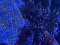 IMG_0124.jpeg
