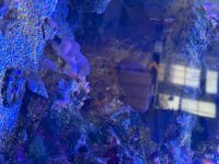 IMG_0126.jpeg