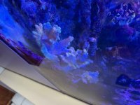 IMG_0127.jpeg