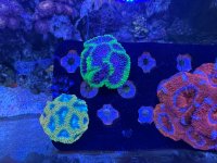 IMG_1834.jpeg