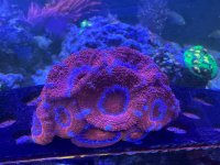 IMG_1832.jpeg
