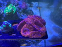 IMG_1830.jpeg