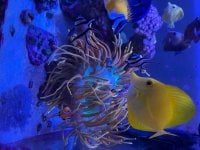 IMG_0888.jpeg