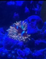 IMG_0889.jpeg
