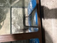 IMG_0121.jpeg