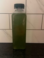 IMG_3299.jpeg