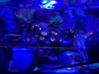 IMG_8839.jpeg