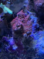IMG_8880.jpeg