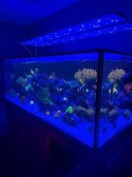 IMG_8871.jpeg