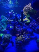 IMG_8868.jpeg
