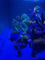 IMG_8865.jpeg