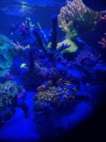 IMG_8866.jpeg