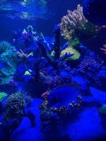 IMG_8867.jpeg