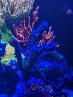 IMG_8864.jpeg