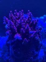 IMG_8861.jpeg