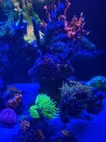 IMG_8860.jpeg