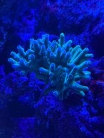 IMG_8856.jpeg