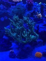 IMG_8858.jpeg