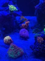 IMG_8859.jpeg