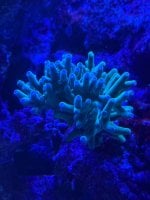 IMG_8855.jpeg
