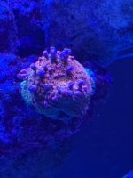 IMG_8854.jpeg