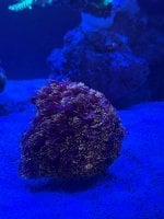 IMG_8853.jpeg