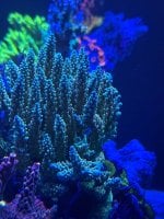IMG_8851.jpeg