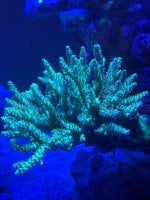 IMG_8852.jpeg
