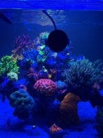 IMG_8850.jpeg