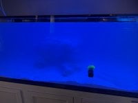 IMG_8758.jpeg